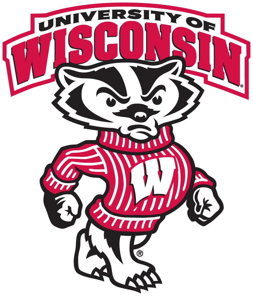 Wisconsin Badgers 2003-2017 Secondary Logo diy DTF decal sticker